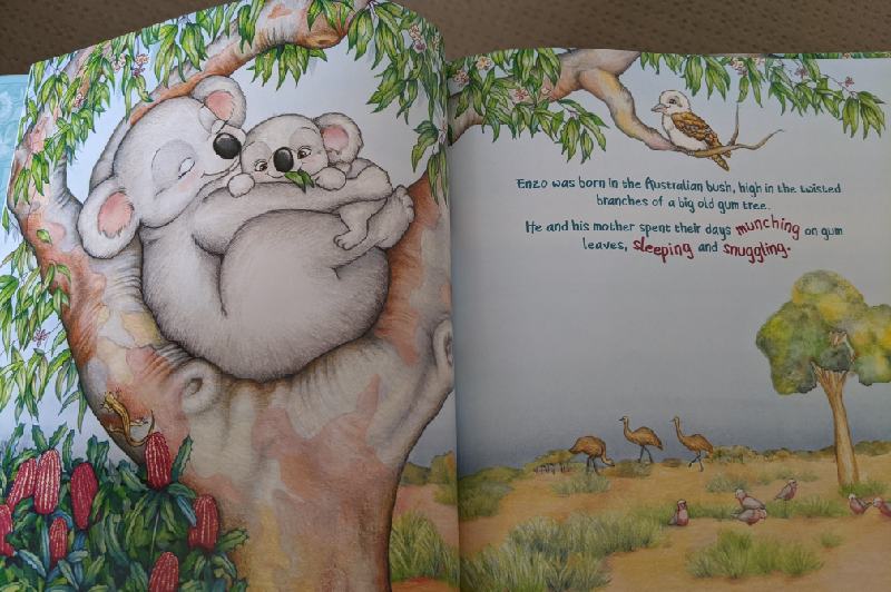 Have You Seen A Tree For Me - A page with mummy koala cuddling with Enzo.