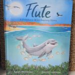 Flute - A dolphin's wild journey home picture book
