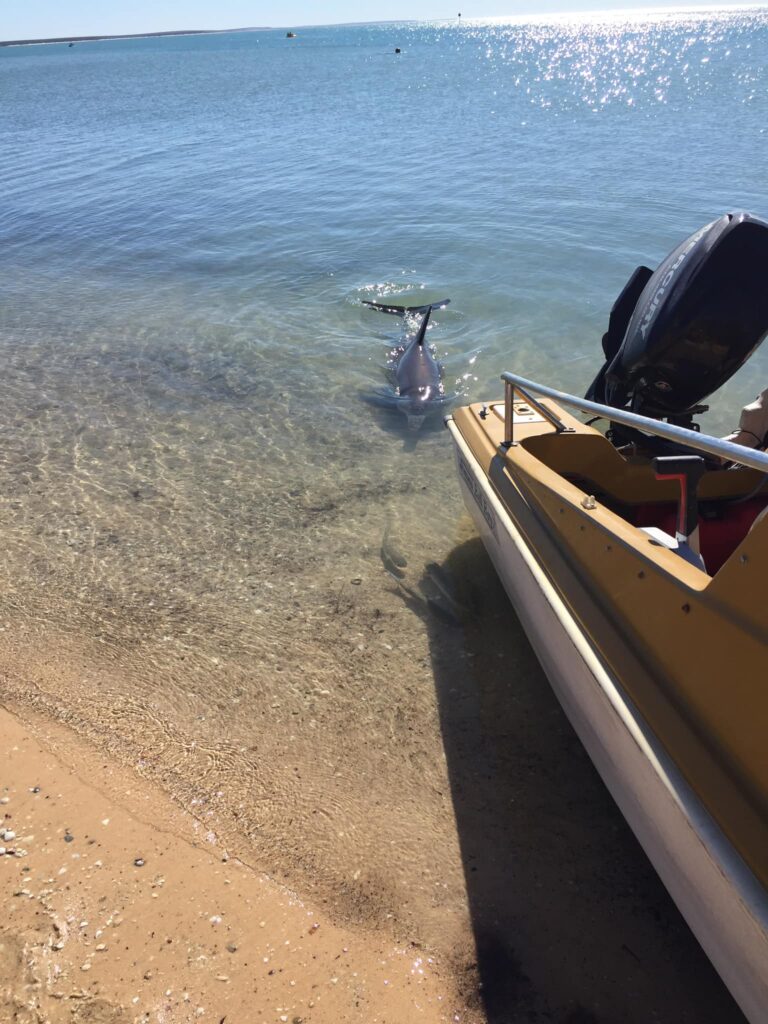 Flute - foraging for her food